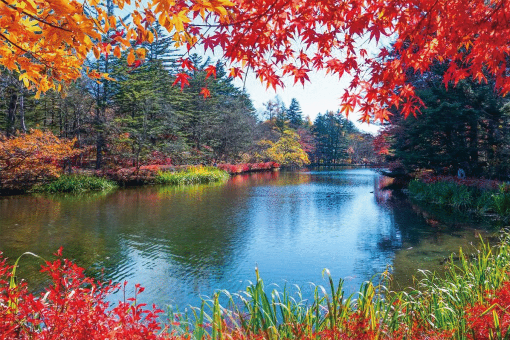 Serene lake in Japan surrounded by vibrant autumn foliage.