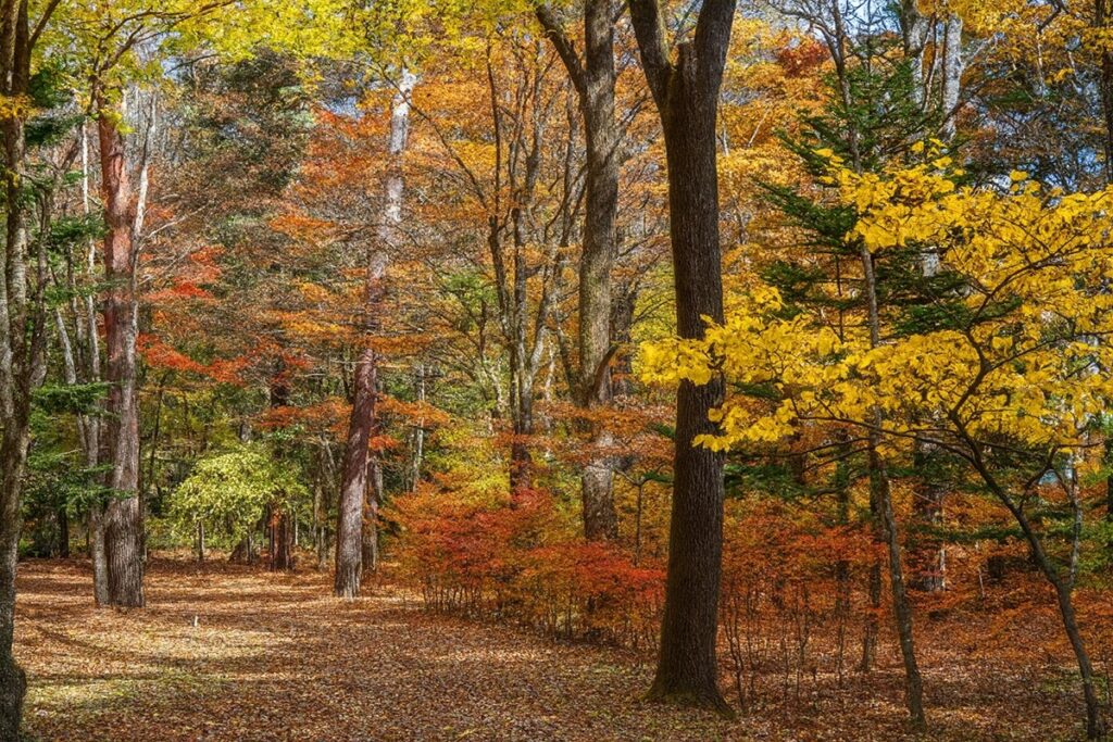 Rendering of Regent Karuizawa planned to open in 2028.