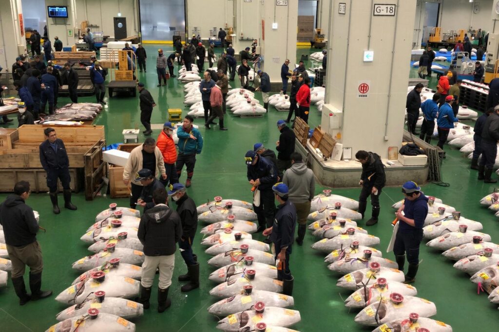 Toyosu fish market in Tokyo