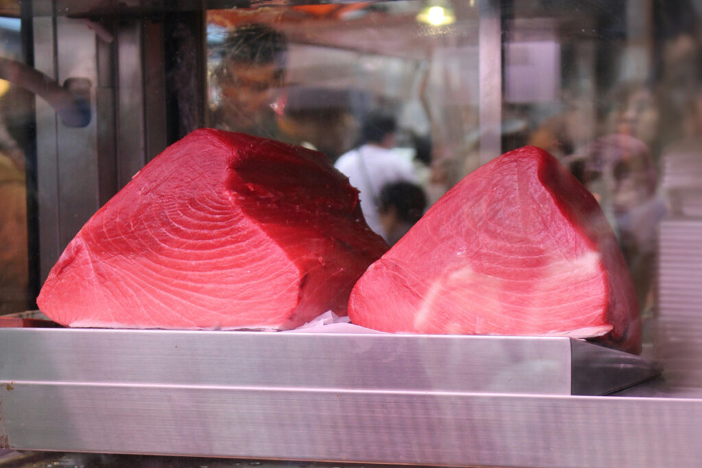 fresh maguro tuna in Japan