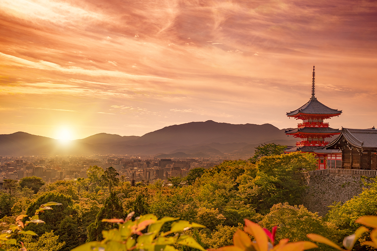 The Ultimate Guide to Living in Kyoto: Life Beyond Tourism