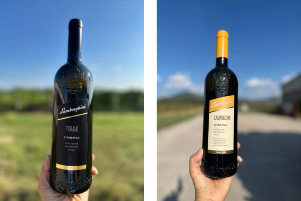 Lamborghini wine